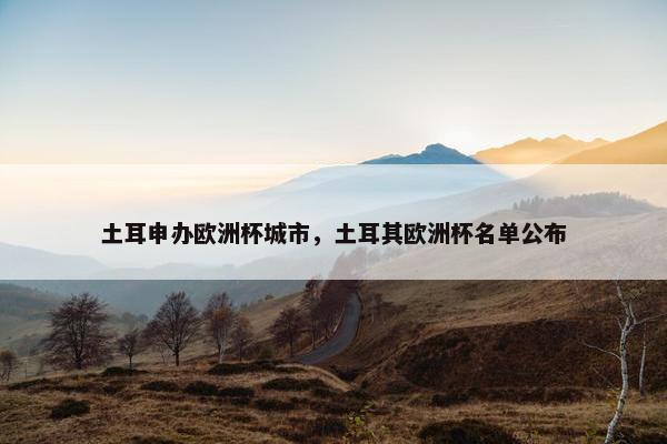 土耳申办欧洲杯城市，土耳其欧洲杯名单公布