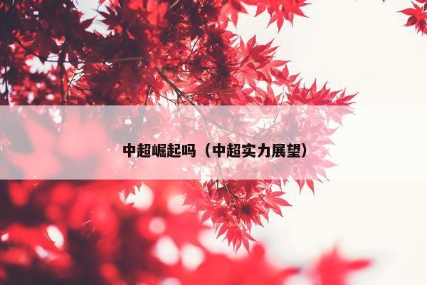 中超崛起吗（中超实力展望）