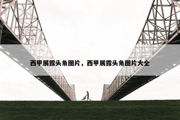 西甲展露头角图片，西甲展露头角图片大全
