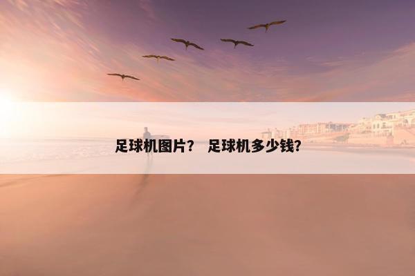 足球机图片？ 足球机多少钱？