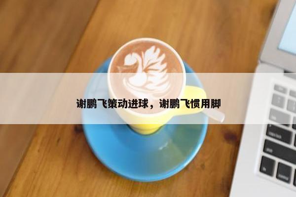 谢鹏飞策动进球，谢鹏飞惯用脚