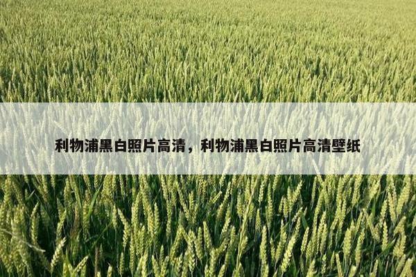 利物浦黑白照片高清，利物浦黑白照片高清壁纸