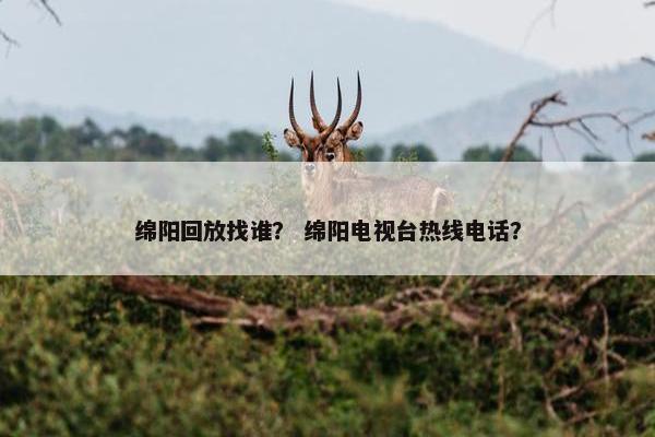 绵阳回放找谁？ 绵阳电视台热线电话？