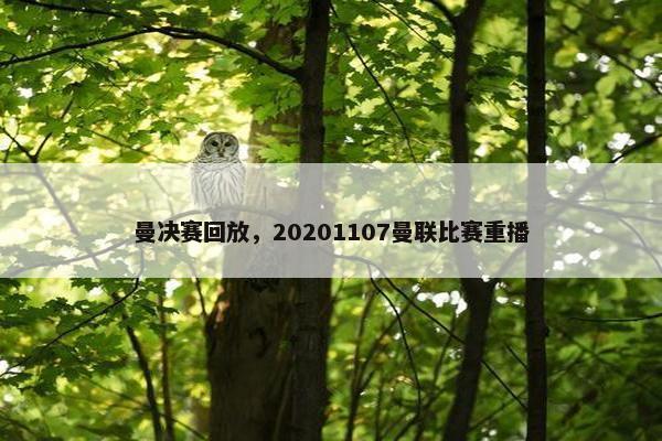 曼决赛回放，20201107曼联比赛重播
