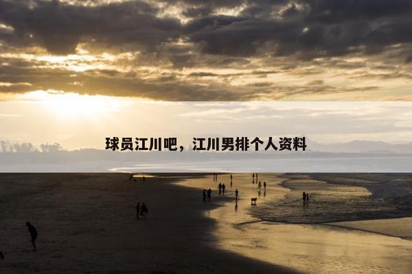 球员江川吧，江川男排个人资料