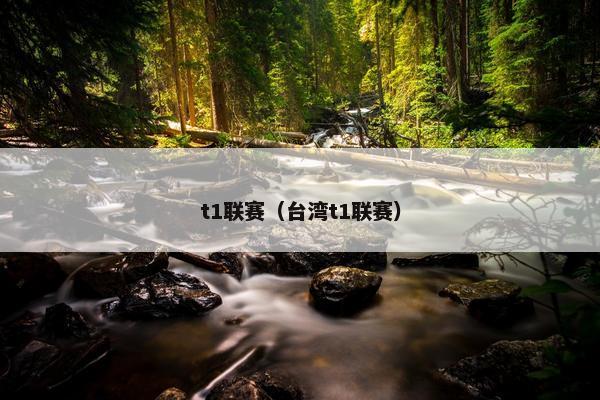 t1联赛（台湾t1联赛）