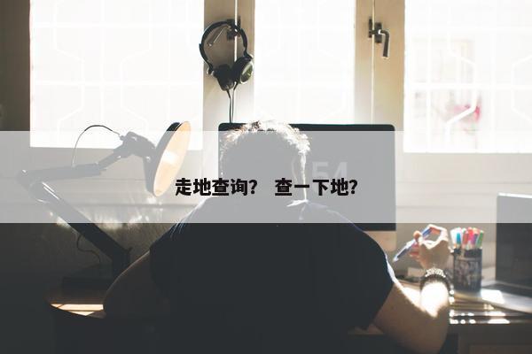 走地查询？ 查一下地？