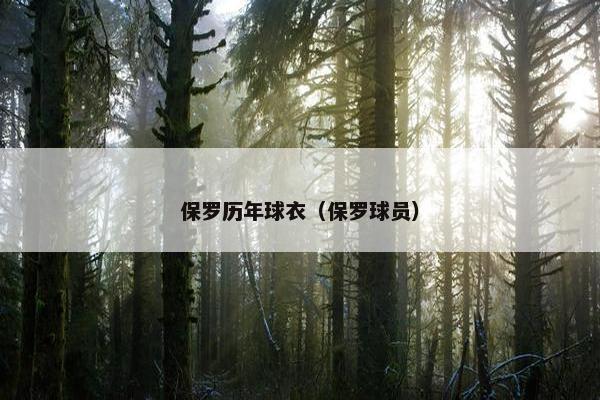保罗历年球衣（保罗球员）