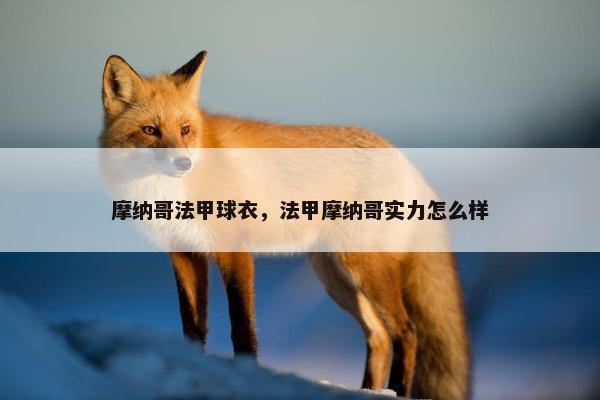 摩纳哥法甲球衣，法甲摩纳哥实力怎么样