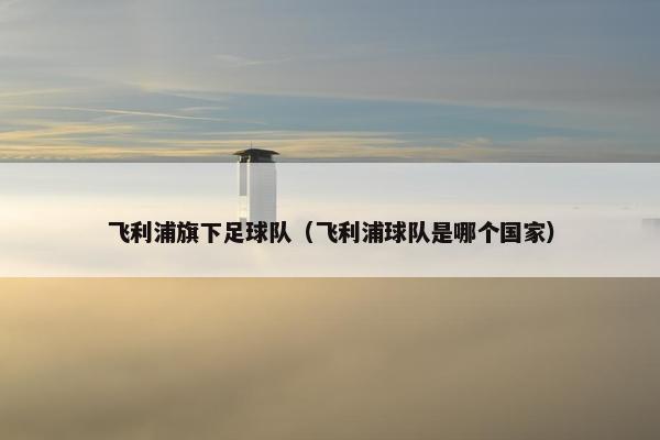 飞利浦旗下足球队（飞利浦球队是哪个国家）