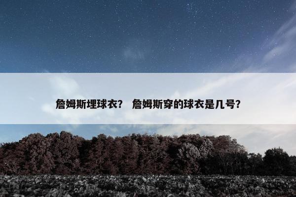 詹姆斯埋球衣？ 詹姆斯穿的球衣是几号？