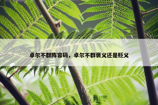 卓尔不群阵容码，卓尔不群褒义还是贬义