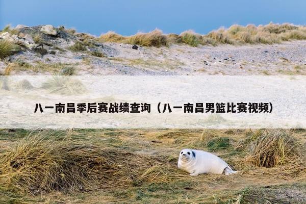 八一南昌季后赛战绩查询（八一南昌男篮比赛视频）