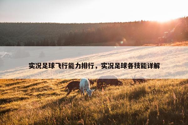 实况足球飞行能力排行，实况足球各技能详解