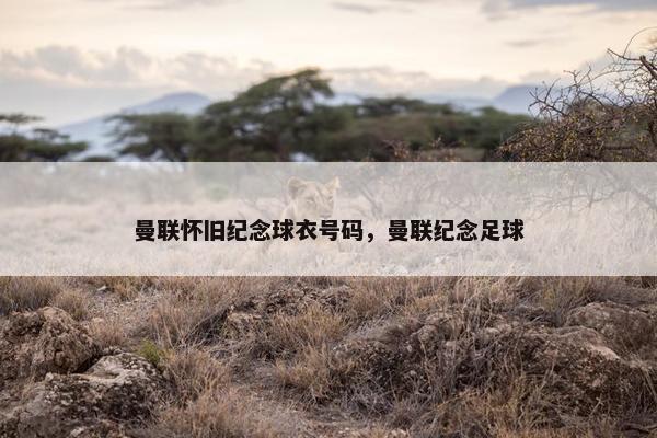 曼联怀旧纪念球衣号码，曼联纪念足球