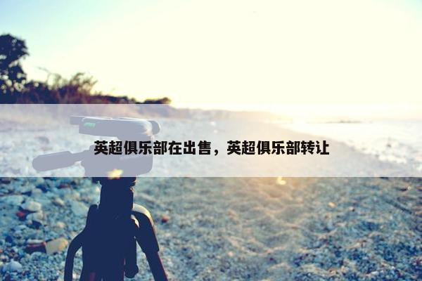 英超俱乐部在出售，英超俱乐部转让