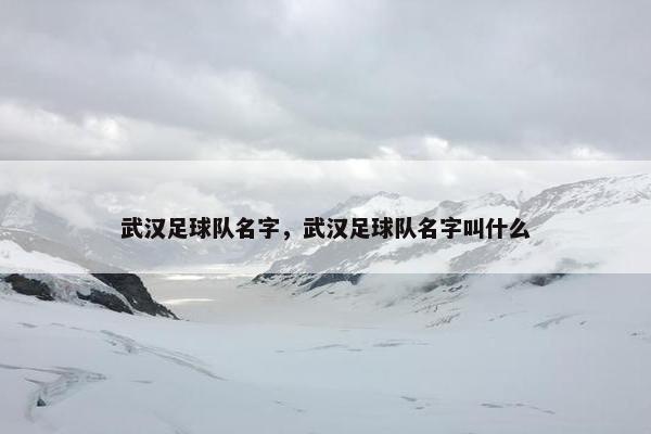 武汉足球队名字，武汉足球队名字叫什么