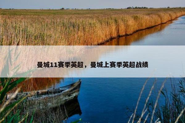 曼城11赛季英超，曼城上赛季英超战绩