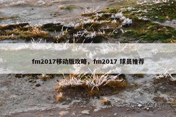 fm2017移动版攻略，fm2017 球员推荐