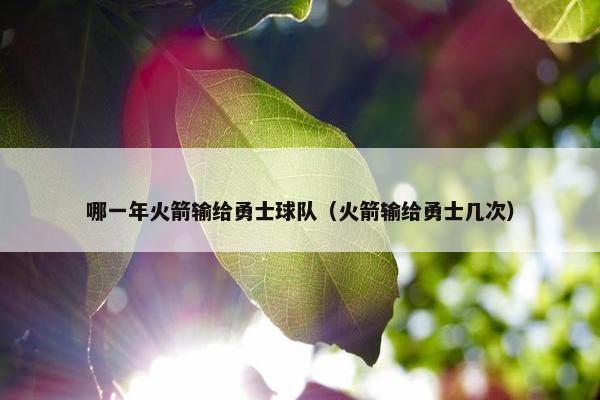 哪一年火箭输给勇士球队（火箭输给勇士几次）