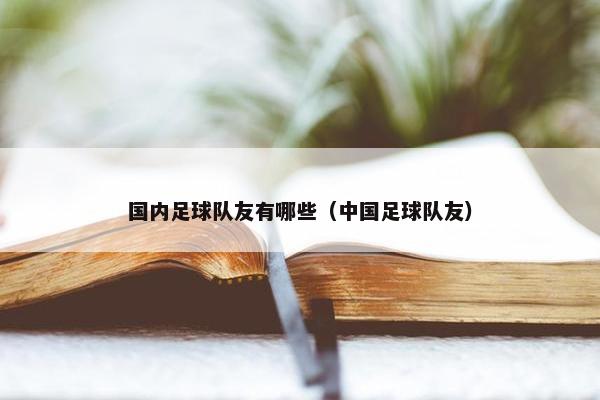 国内足球队友有哪些（中国足球队友）