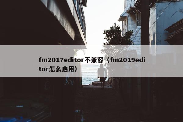 fm2017editor不兼容（fm2019editor怎么启用）