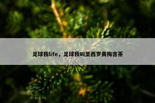 足球我life，足球我叫圣西罗黄梅吉茶