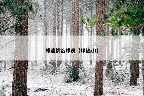球迷挑战球员（球迷dt）