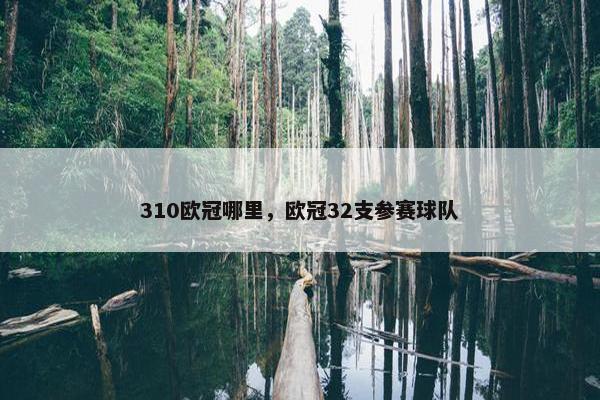 310欧冠哪里，欧冠32支参赛球队