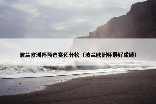 波兰欧洲杯预选赛积分榜（波兰欧洲杯最好成绩）