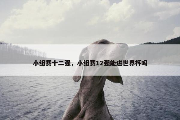 小组赛十二强，小组赛12强能进世界杯吗