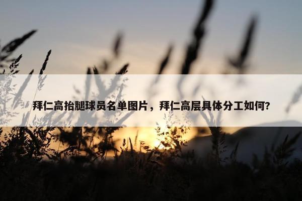 拜仁高抬腿球员名单图片，拜仁高层具体分工如何?