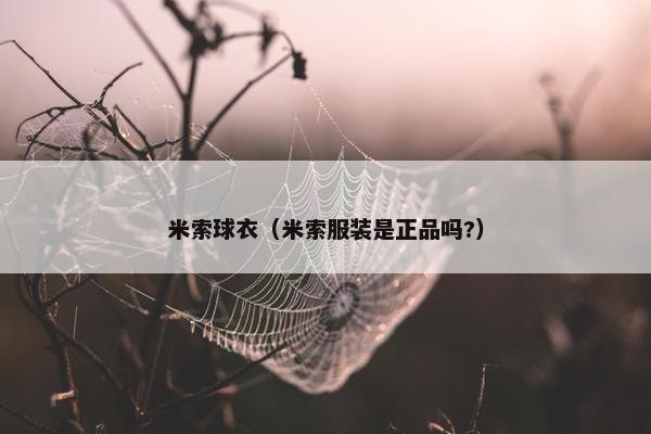 米索球衣（米索服装是正品吗?）