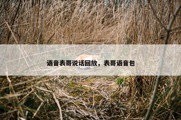 语音表哥说话回放，表哥语音包