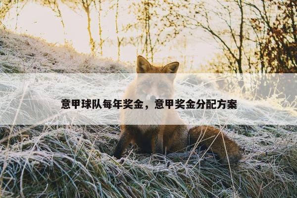 意甲球队每年奖金，意甲奖金分配方案