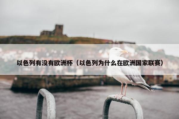 以色列有没有欧洲杯（以色列为什么在欧洲国家联赛）