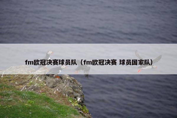 fm欧冠决赛球员队（fm欧冠决赛 球员国家队）