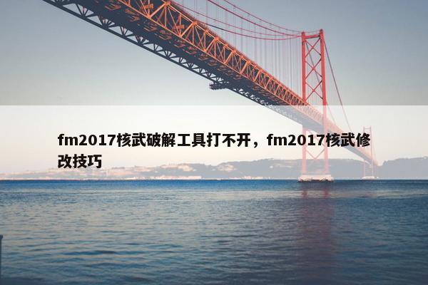 fm2017核武破解工具打不开，fm2017核武修改技巧
