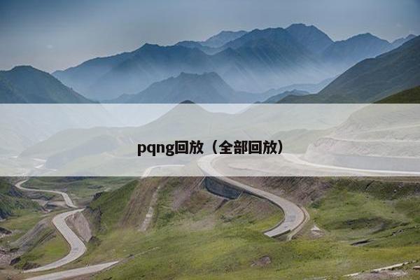 pqng回放（全部回放）