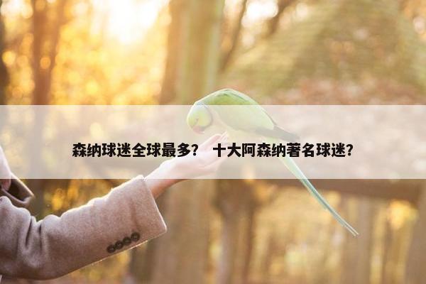 森纳球迷全球最多？ 十大阿森纳著名球迷？