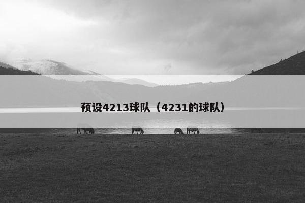 预设4213球队（4231的球队）