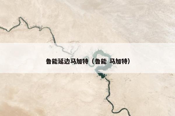 鲁能延边马加特（鲁能 马加特）