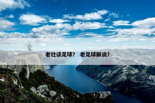 老壮谈足球？ 老足球解说？