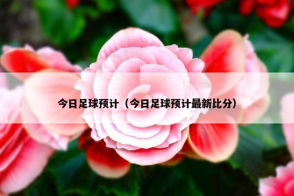 今日足球预计（今日足球预计最新比分）