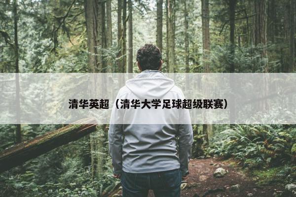 清华英超（清华大学足球超级联赛）