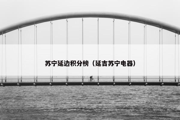 苏宁延边积分榜（延吉苏宁电器）