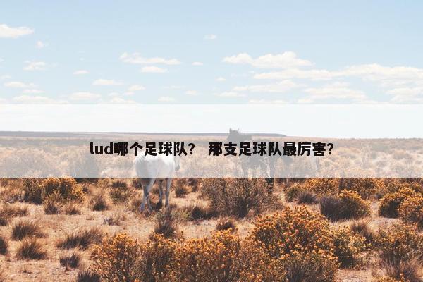 lud哪个足球队？ 那支足球队最厉害？