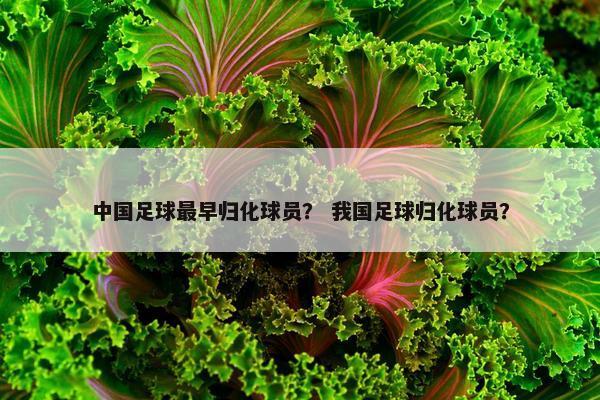 中国足球最早归化球员？ 我国足球归化球员？