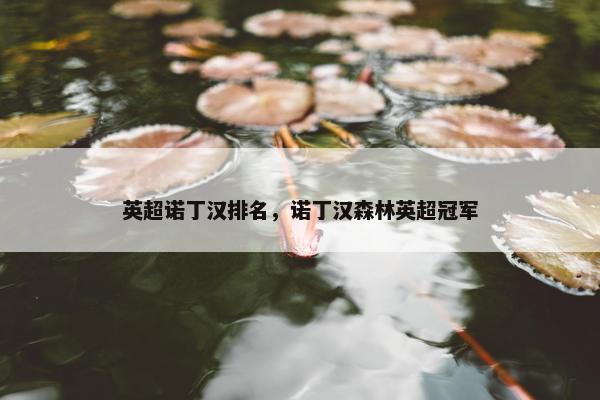 英超诺丁汉排名，诺丁汉森林英超冠军