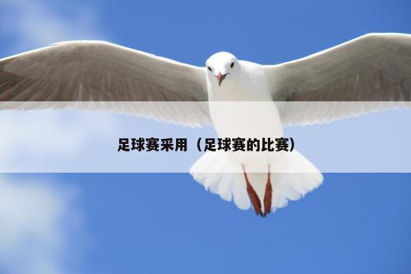 足球赛采用（足球赛的比赛）
